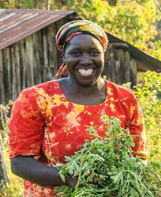 doterra co impact sourcing | Organiczne Olejki