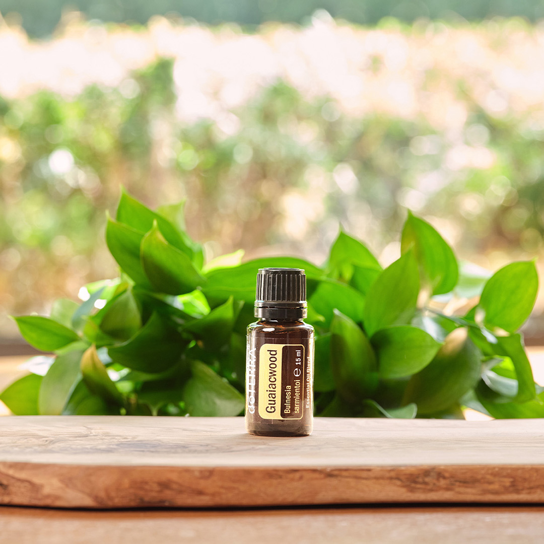 Olejek Gwajakowiec dōTERRA – święte drzewo gwajakowca GUAIACWOOD - obrazek 2
